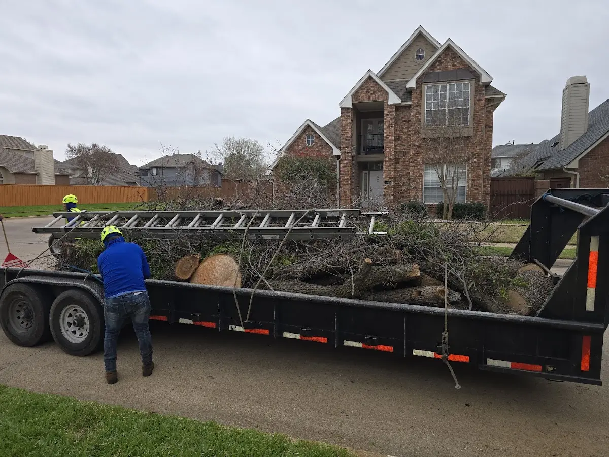 Expert Tree Removal with proper safety equipment in Fox Valley